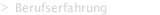 Berufserfahrung